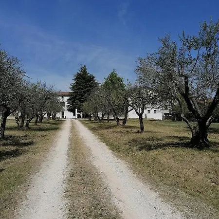 Agriturismo Colombare Teboi Lazise Exterior foto